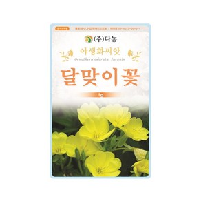 (DN) 달맞이꽃 씨앗(1g), 1개