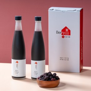 고창 복분자 자연발효식초, 500ml, 2개