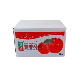 15K 사과 막 포장 박스 [10장], 단품