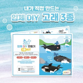 고래 입체 DIY 만들기 3종 KIT