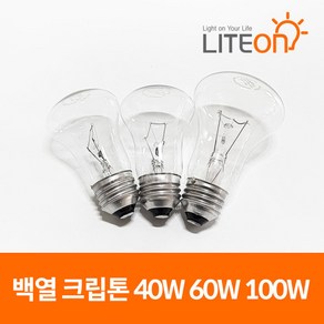 백열등 클립톤 크립톤 백열전구 100W