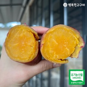[생산자 직배송] 2024년 수확 유기농 햇고구마 호풍미(호박고구마) 큰, 1박스, 3kg