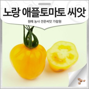 노랑 애플 토마토 씨앗 방울 토마토씨 채소 종자 10알, 1개