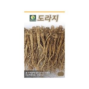 (DN) 도라지 씨앗(6g), 1개