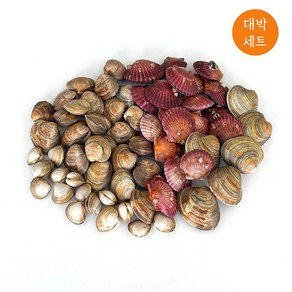 두팜 모듬조개 대박세트 2kg 1~2인분 내외, 1개