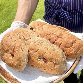 지미하다 흰밀가루없는 당일제조 100% 통밀빵 곡물견과빵, 통밀견과빵, 1개, 350g