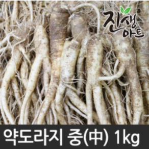 국내산 약도라지 중 1kg, 1개