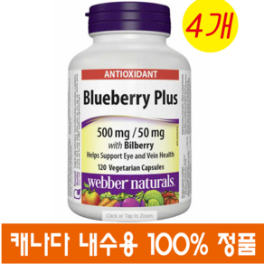 (캐나다직구) 웨버내츄럴 블루베리 플러스120정 4개 Webbe Natuals Bluebey Plus with Bilbey 500 mg/50 mg, 120정