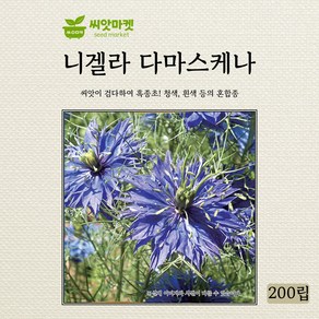 다농 니겔라다마스케나 흑종초 씨앗 200립, 1개