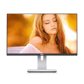 DELL UltaShap U2414H 24인치 IPS 피벗 모니터