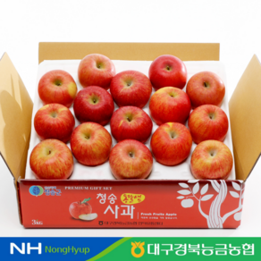[대구경북능금농협] 청송 사과 (부사) 정품 3kg (12-15과), 1박스, 단품