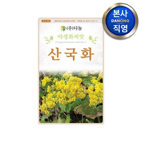 산국화 씨앗 6000립 . 예쁜 노란 야생화 식물 꽃씨 화단 정원 꽃밭 텃밭 종자, 1개