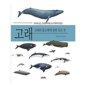 유니오니아시아 고래 양장본 HadCove