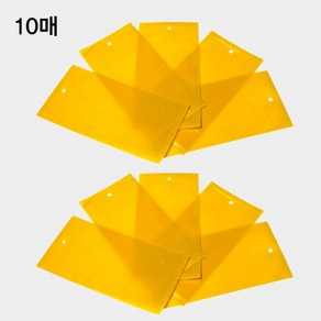 올스토어 해충 끈끈이 초파리 트랩, 10개, 10g