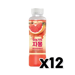 유어스 하늘가득 자몽주스 음료페트 330ml x 12개