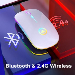 Hinshun 블루투스 무선 RGB 마우스 Bluetooth and Wieless Mouse, 흰색