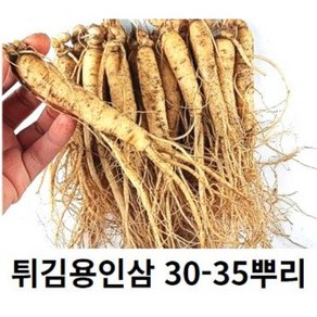 금산인삼 못난이인삼 5년근 6년근 750g 30-35뿌리 튀김용인삼 삼계탕인삼 튀김수삼 세척인삼