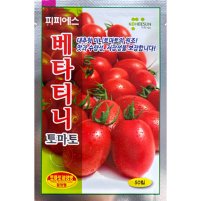 베타티니 대추 방울 토마토씨앗 50립, 1개