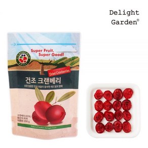 딜라잇가든 건조 크랜베리 200g, 1개