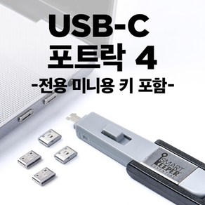 [스마트키퍼] 포트 잠금장치 스틱형 USB C타입 포트 락 스마트키퍼 CL04PKGY [그레이/미니키1개+커넥터 4개], 1개