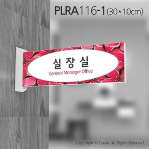 카시드 돌출표지판 PLRA116 표찰 표지판 표시판 도어싸인 팻말 명판 룸표시 방이름 부서명 부서이름 사무실 병원 교회 군부대, 화면크기 300*100mm