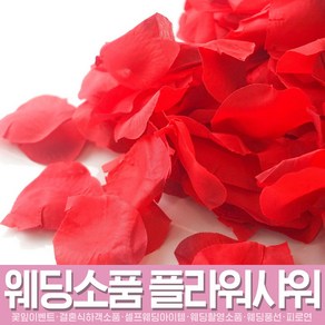 스투피드 셀프웨딩 프로포즈 모음, 035_이벤트 꽃잎  레드