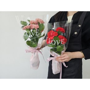 유스풀몰 카네이션 꽃다발 생화 어버이날 스승의날 꽃, 포장된 카네이션 5송이+루스커스3줄, 1개