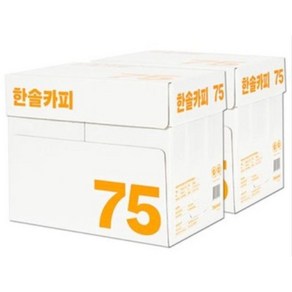 한솔제지 A4용지 복사용지 75g 2박스 5000매, 5000