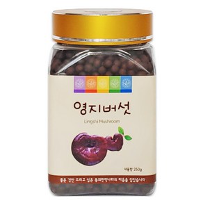 국산 영지버섯환 한방 한약 건강환 동의한약나라, 250g, 1개