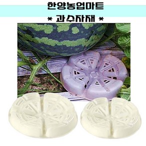 과수자재-수박받침대 1set 10개 과일받침대 호박 참외 멜론 과수자재, 선택2) 흰색 (대) 1set 10개