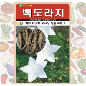 백도라지 종자 1000립 도라지 씨앗 키우기 파종, 1개