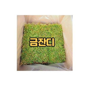 잔디농장 금잔디 40cm x 60cm 1평 14장, 14개