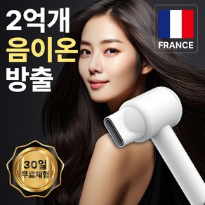 프랑스 BLDC 초고속 음이온 초경량 헤어 드라이기 거치대 노즐 포함 브러시리스 전문가용 1400W
