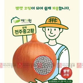 양파씨앗 천주중고황 (펠렛) (500립)