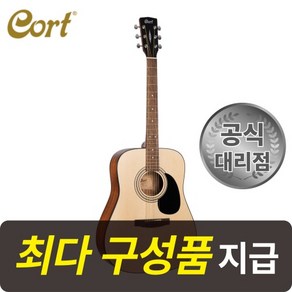 콜트 Cort AD810 드레드넛 바디 통기타 입문용 추천