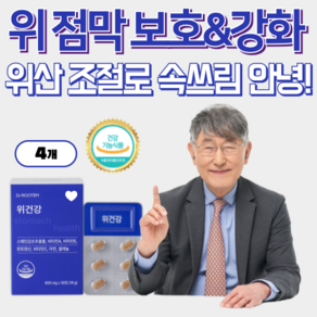 소화불량 해결 영양제 위염 예방 속쓰림 방지 위 건강 이시형 박사 헬리코박터균 제거 위 점막 보호, 4박스, 30정