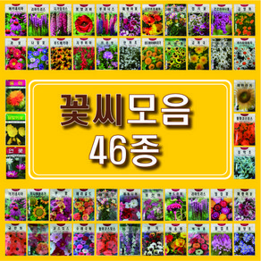 꽃씨 모음 46종, 34.홍화(이년생), 1개