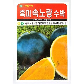 흑피속노랑수박 수박씨앗 5립 아람종묘 23년