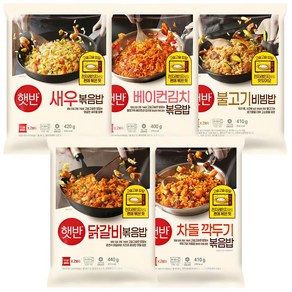 햇반 CJ 비비고 볶음밥 5종 (닭갈비볶음밥+차돌깍두기볶음밥+새우볶음밥+베이컨김치볶음밥+불고기비빔밥), 1개, 400g