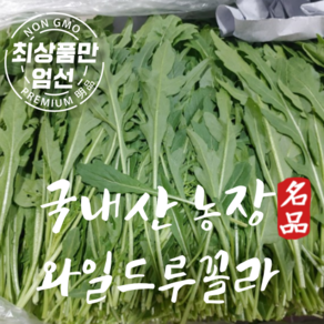 국내산 와일드루꼴라 베이비 루꼴라 특품 500g