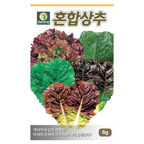 청로메인 상추 씨앗 2000립 - 상추씨앗 상추씨 청치마 쌈채소 야채씨앗 채소씨앗 채소재배 종묘 종자 베란다 텃밭 씨 씨앗, 1개