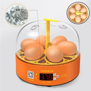 부하기 미니 6구 자동 회전 달걀 계란 닭 병아리 부화기 KC-72394EA, 1개, 자동6구회전부화기