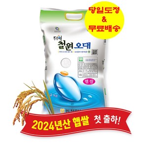 동철원농협 철원오대쌀 4KG ['24년햅쌀' / '당일도정' & '무료배송'], 1개