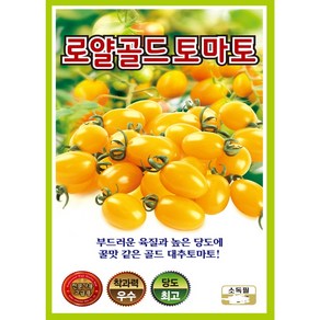 로얄골드토마토 대추방울토마토씨앗 20립, 1개