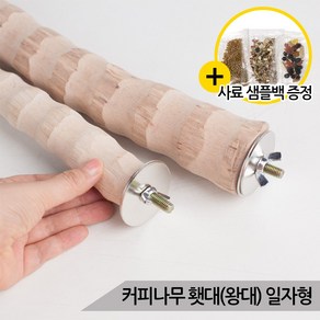 커피나무 횃대(왕대) 일자형 앵무새횟대 천연 자연목, 1개