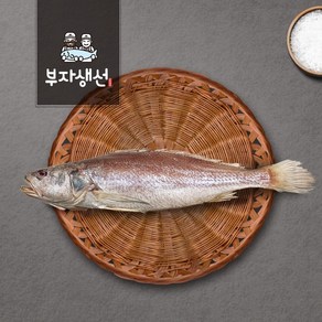 반건조생선 제수용 민어조기 소 중 대 특대 망미중앙시장 김명욱, 민어조기43cm 1마리(대), 1개