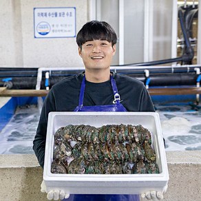 완도 직거래 활 전복 선물세트, 1개, 1kg 중(13~15미)