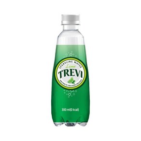 트레비 라임 탄산수 300ml 20페트