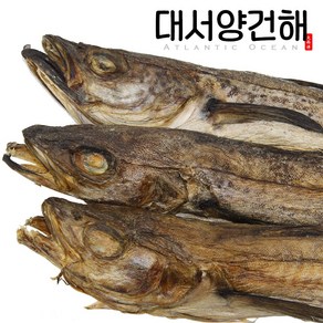 먹태 8통(43~45cm) 7통(45~47cm)