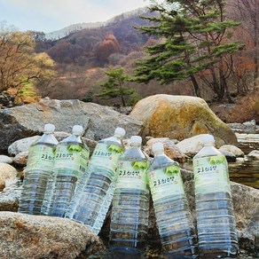 지리산사람들 고로쇠 수액 고로쇠물, 6개, 1.5L